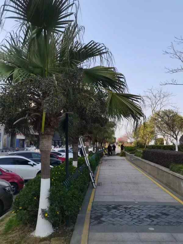 国宝级中医——吴训明